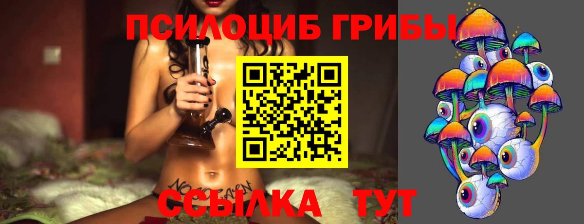Лениногорск  Галлюциногенные грибы Psilocybe  Вход с VPN  Галлюциногенные грибы ЛСД 